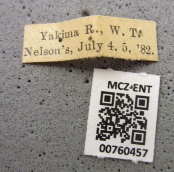 Media type: image;   Entomology 760457 Aspect: labels